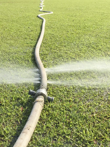 Wasting water - water leaking from hole in a hose