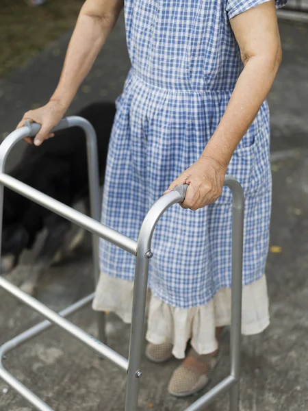 Senior woman using a walker with dog at home