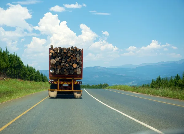 Timber truck driven on the road