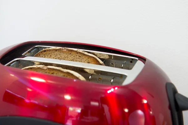 Toasted plates of bread in electric toaster