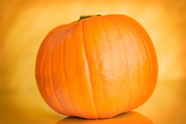 Pumpkin on orange background background, halloween theme