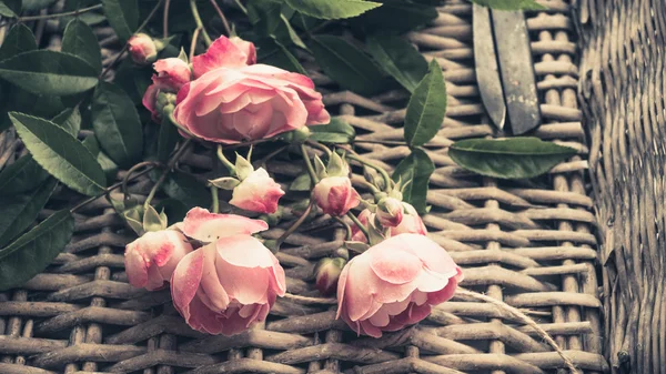 Vintage roses in wicker basket, closeup shot