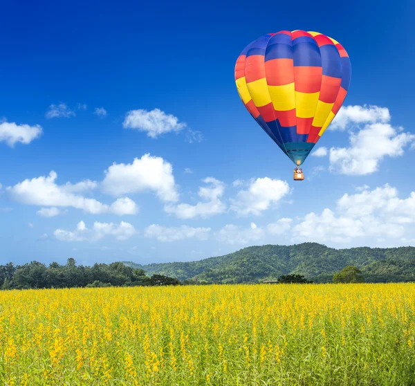 Hot air balloon over yellow flower fields with mountain and blue