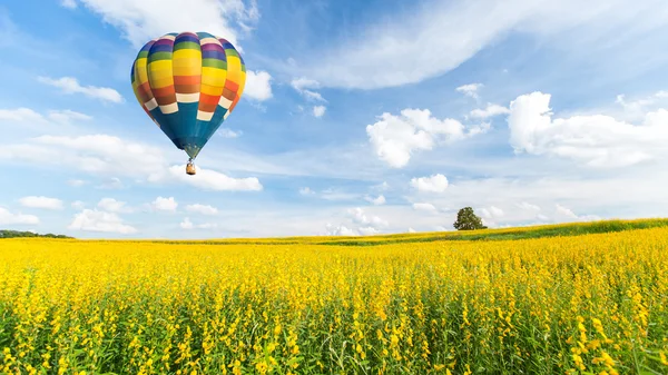 Hot air balloon over yellow flower fields against blue sky