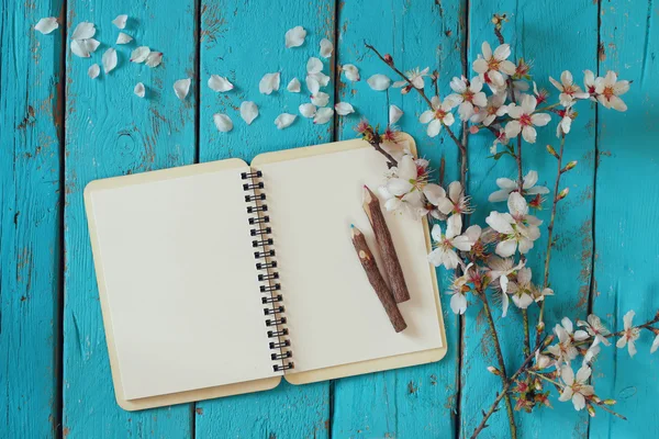 Top view image of spring white cherry blossoms tree, open blank notebook next to wooden colorful pencils on blue wooden table