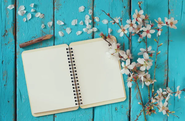 Top view image of spring white cherry blossoms tree, open blank notebook next to wooden colorful pencils on blue wooden table. vintage filtered and toned image