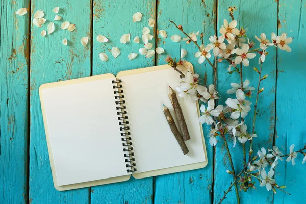 Top view image of spring white cherry blossoms tree, open blank notebook next to wooden colorful pencils on blue wooden table. vintage filtered and toned image