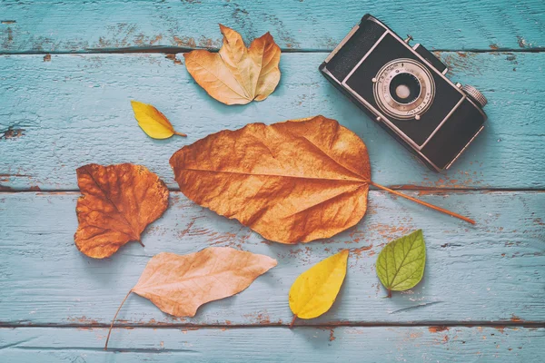 Autumn background with dry leaves and old camera