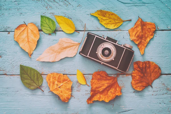 Autumn background with dry leaves and old camera