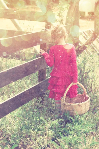 Cute girl walking in field with basket and warm sunset light.abstract and dreamy concept. image is textured and retro toned