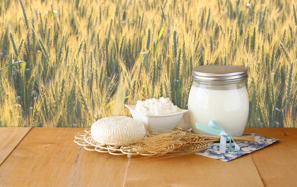 Tzfatit cheese , cottage and milk on wooden table  over wheat field at sunrise sun burst  background.  jewish holiday Shavuot concept