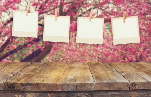 Old polaroid photo frames hanging on a rope over cherry blossom tree landscape