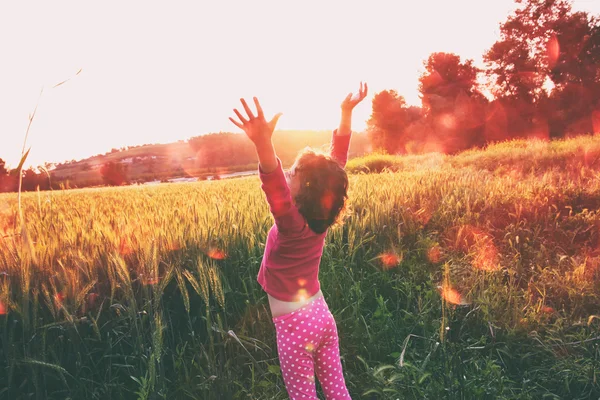 Cute kid (girl) standing in field at sunset with hands stretched looking at the landscape. instagram style image with bokeh lights. freedom and happiness  concept.