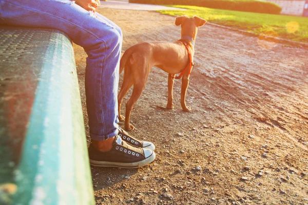 Person with his dog.