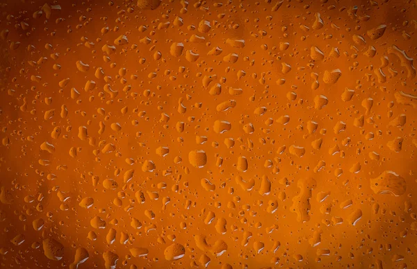 Texture water drops on the bottle of beer. Beer background