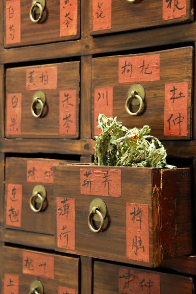 Chinese medicine shop