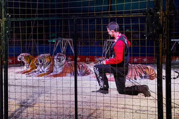 A lion tamer in the cage with tigers