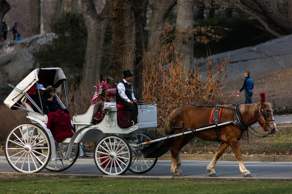 Horse-Drawn Carriage in Central Park