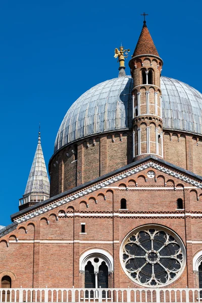 Basilica of Saint Anthony of Padua in Padua, Italy