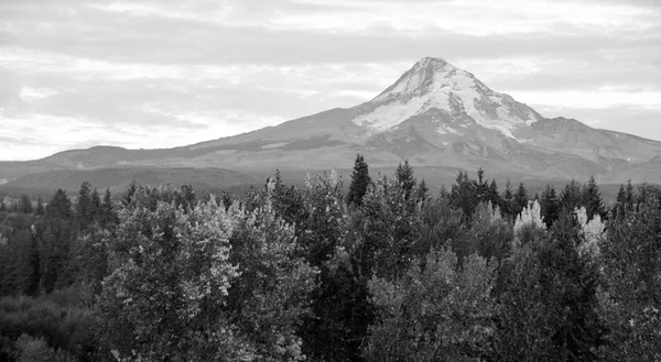 Mt. Hood Volcanic Mountain Cascade Range Oregon Territory