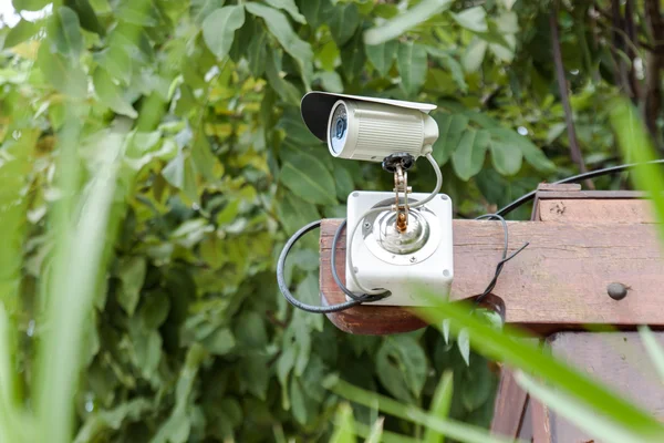 Security Camera or CCTV