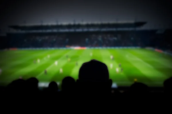 Silhouette of soccer fan in the stadium