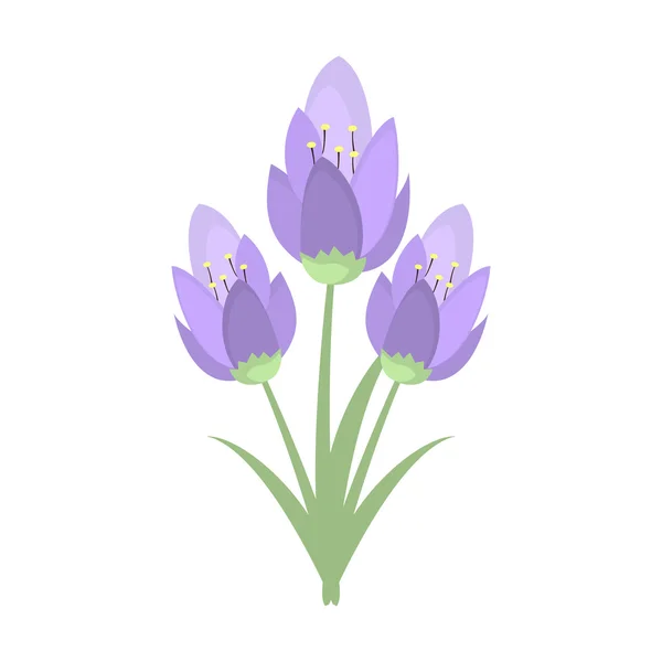 Early spring purple crocus and snowdrops nature beauty flowers vector.