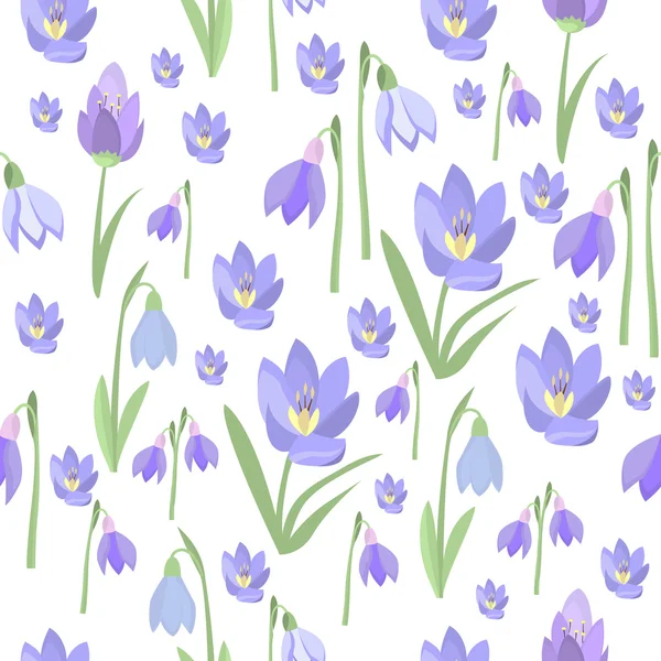 Early spring purple crocus and snowdrops nature beauty flowers vector.