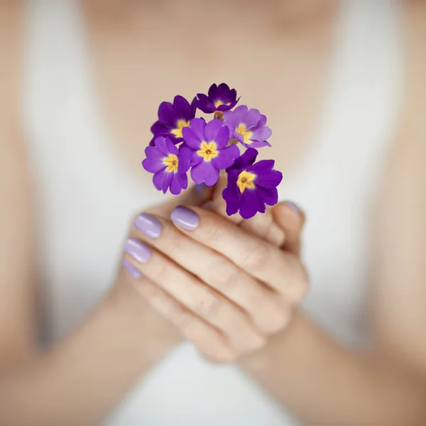 Woman hands with beautiful fingernails in purple holding flowers