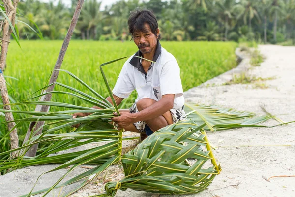 villager sitting near the rice field