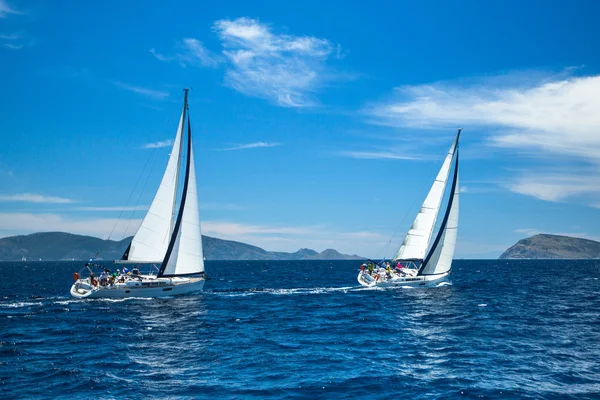 Unidentified sailboats regatta.