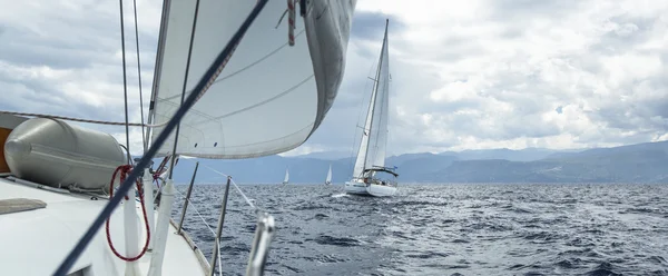 Sailboats sailing in regatta