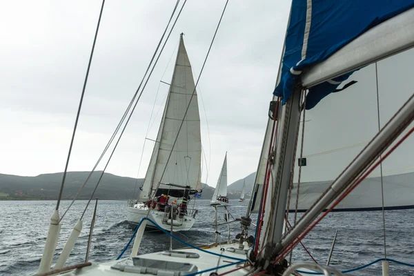 Sailors participate in sailing regatta