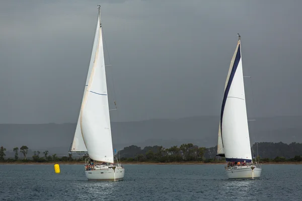 Sailboats participate in sailing regatta