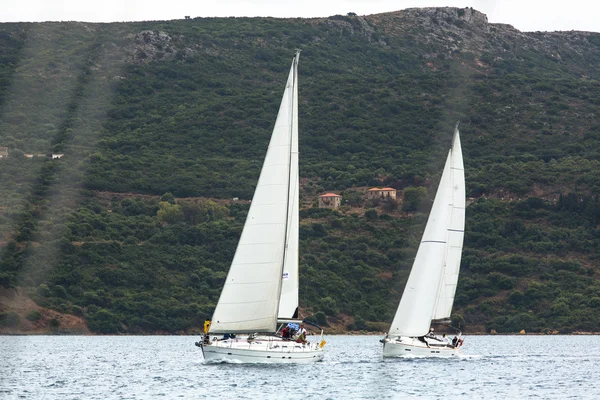 Sailboats participate in sailing regatta