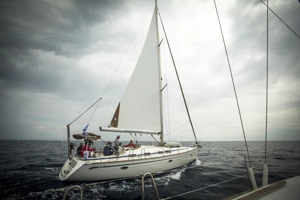 Sailor participate in sailing regatta