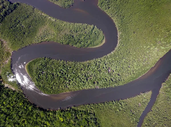 Amazon rainforest, Brazil