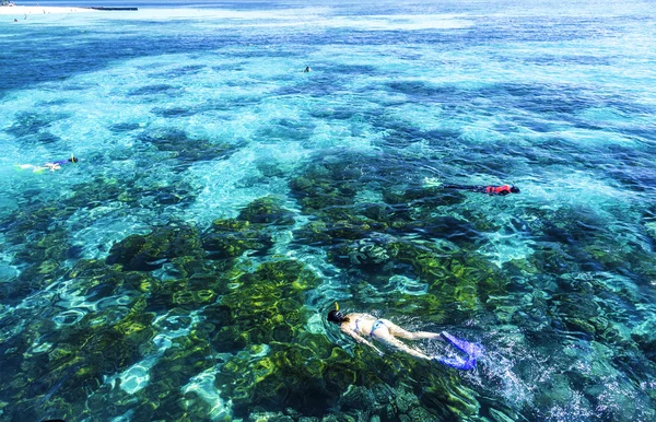 The Great Barrier Reef in Queensland State, Australia