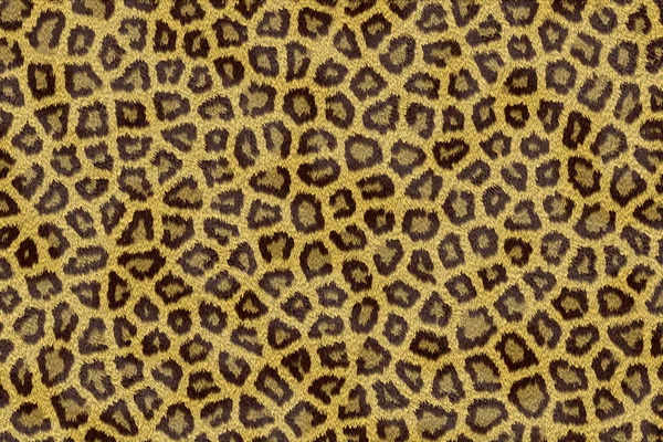 Leopard tiger skin texture background