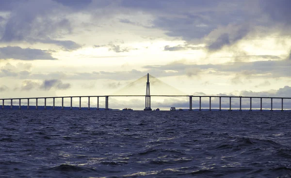 The Manaus Iranduba Bridge