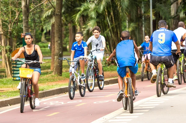 People enjoy a hot day in Ibirapuera Park in Sao Paulo, Brazil.