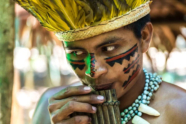 Brazilian Indian showing his ritual in Amazon