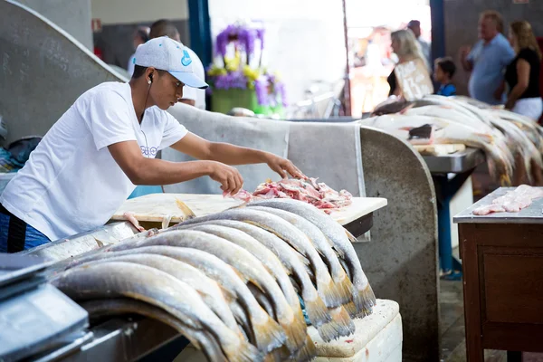 Fresh fishes inside the famous Ver Peso Market in Belem do Para, Brazil