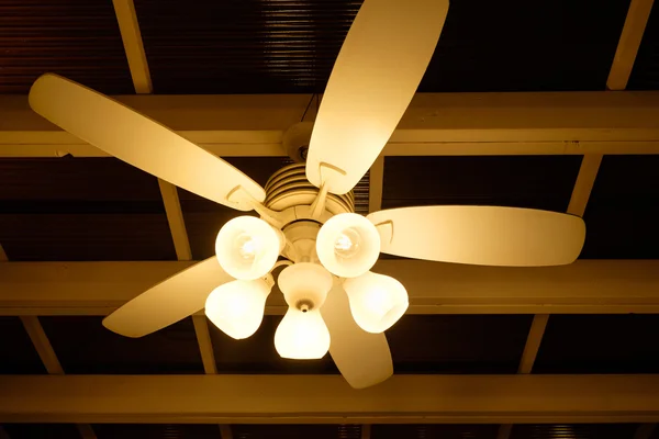 Ceiling Fan indoors