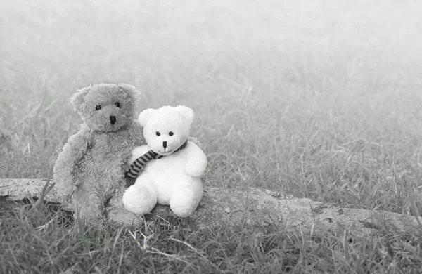 Two teddy bears hugging and sitting on the timber in meadow