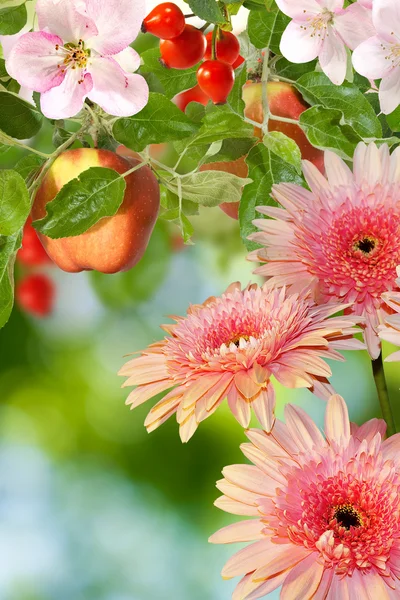 Image of flowers and fruits in the garden closeup