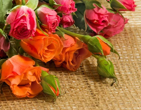 Image of beautiful flowers of roses close-up