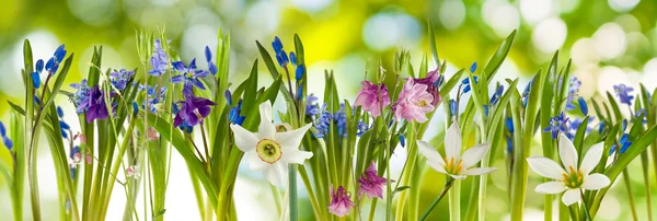 Beautiful flowers on a green background