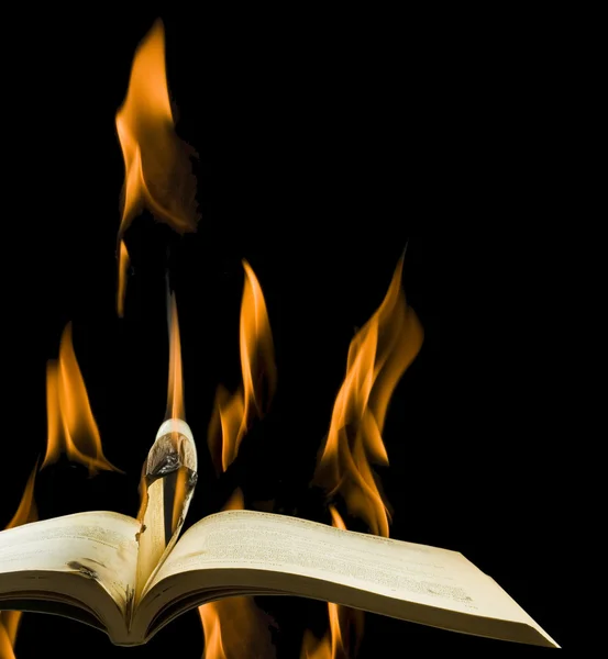 burning books closeup