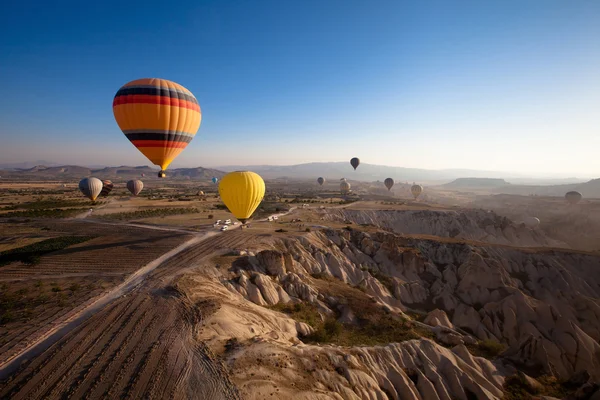 Landscape with hot air balloons